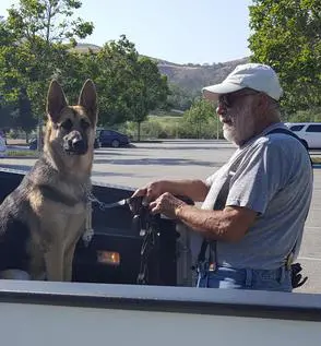 A man and his dog in the back of a truck.