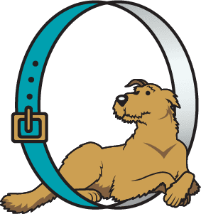 A dog sitting in the letter o with a blue belt around it.